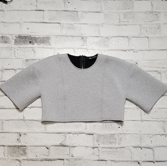 Zara Grey Crop Top Zipper in the Back - Picture 4 of 6